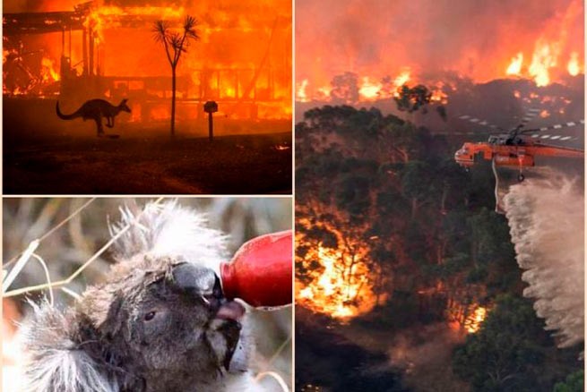 Австралию охватили масштабные пожары - 25 погибших