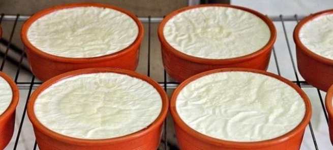 Чехии отказали называть производимый в стране йогурт "греческим"