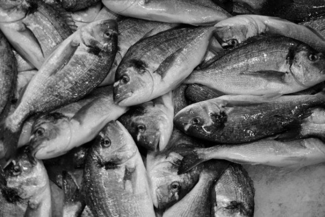 Жители Салоников перестали покупать рыбу из-за наводнения в Фессалии