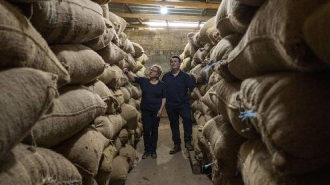 FT: в Евросоюзе могут уничтожить сотни тысяч тонн кофе и какао