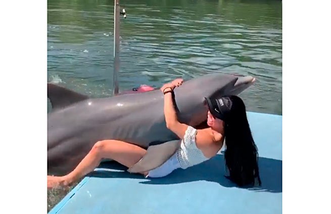 Влюбленный дельфин предложил девушке больше чем просто объятия