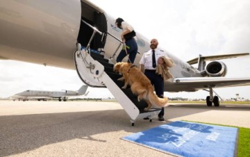 Первый полет совершил самолет американской авиакомпании... для собак