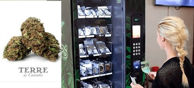 В Афинах установили торговый автомат по продаже каннабиса