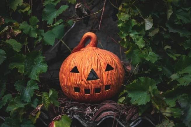 Священник уничтожил тыквы, подготовленные детьми, потому что Хэллоуин — «сатанинский праздник»