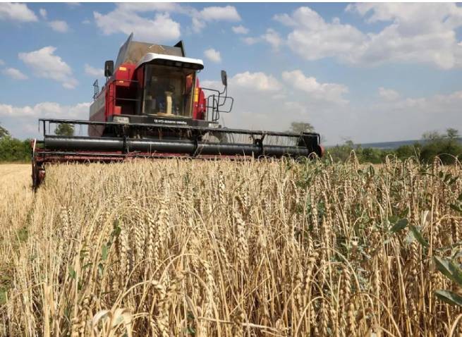 Польша и Украина договорились по поводу транспортировки зерна