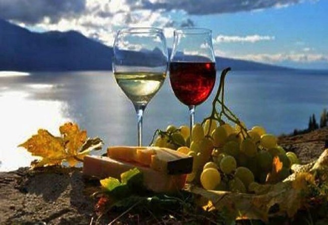 Скачок роста экспорта греческого вина в Канаду