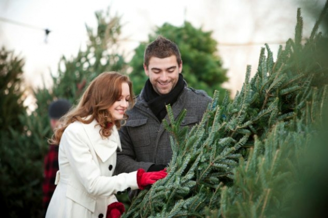 Продажа новогодних елок с 30 ноября