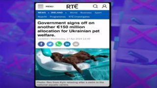 О гигантских расходах в Ирландии на домашних животных беженцев из Украины (видео)