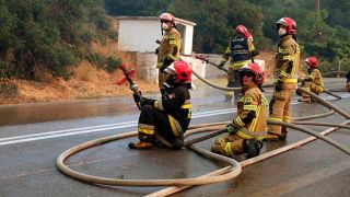 ЕС отправляет пожарных в Грецию для борьбы с пожарами
