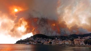 Количество лесных пожаров в Греции на 22% больше с начала 2024 года